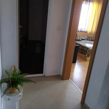 Pepina ゲストハウス *