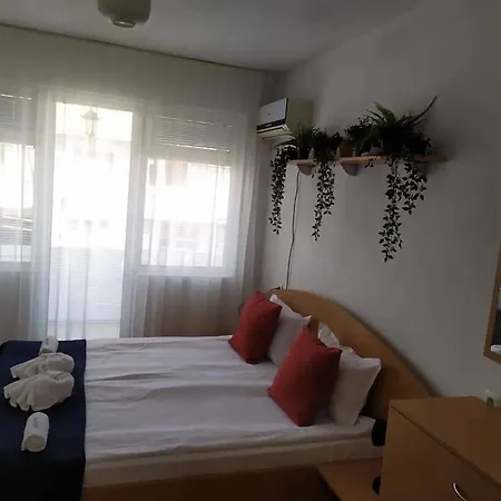 ゲストハウス Pepina