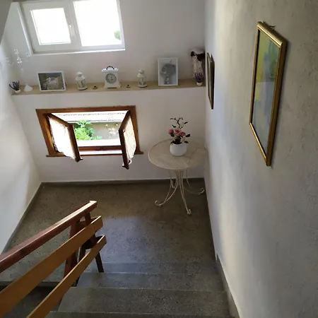 Pepina ゲストハウス *