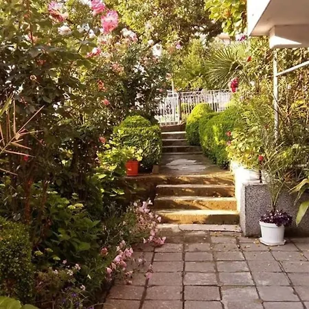 Pepina ゲストハウス *