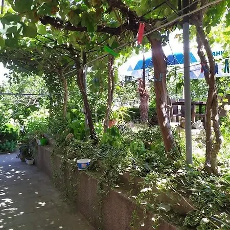 Pepina ゲストハウス