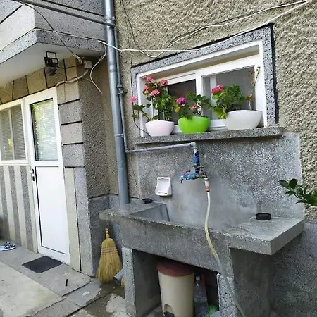 ゲストハウス Pepina *