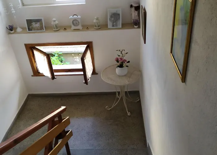 Pepina Guest house *