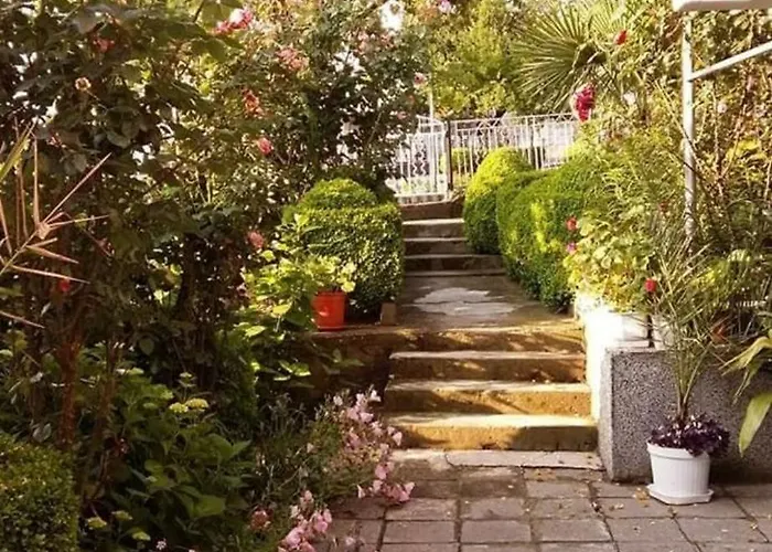 Pepina Guest house *